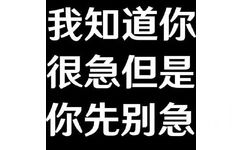 我知道你很急但是你先别急 - 你先别急表情包 ​