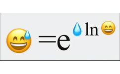 ln 数学公式滴汗小黄脸表情包