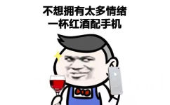 不想拥有太多情绪  一杯红酒配手机 - 过了爱做梦的年纪 （金馆长）