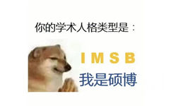 你的学术人格类型是：IMSB我是硕博