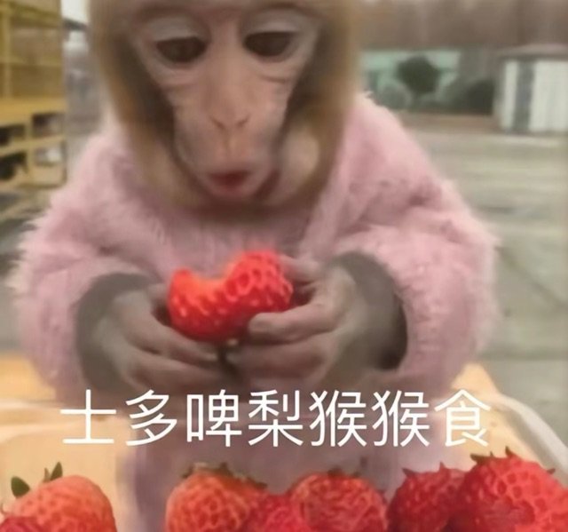 士多啤梨猴猴食(strawberry好好吃)