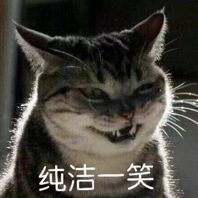 纯洁一笑(猫咪)