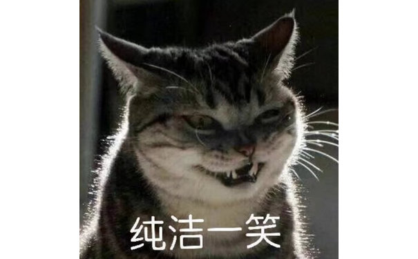 纯洁一笑(猫咪)