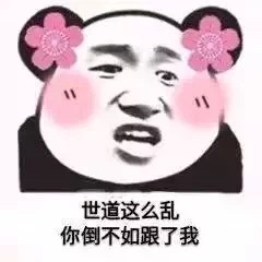 世道这么乱你倒不如跟了我(熊猫头撩人表情包)