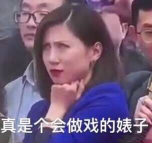 真是个会做戏的婊子(翻白眼蓝衣女记者) - 热门斗图表情包原图精选-2018/3/13