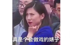 真是个会做戏的婊子(翻白眼蓝衣女记者) - 热门斗图表情包原图精选-2018/3/13