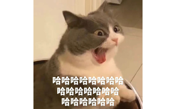 哈哈哈哈哈哈哈哈哈哈哈哈哈哈哈哈哈哈哈哈哈