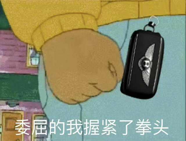 委屈的我握紧了拳头(宾利车钥匙炫富)