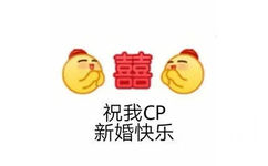 囍祝我CP新婚快乐 - 嗑cp专用表情包