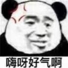 嗨呀好气啊(熊猫头)