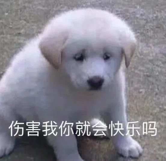 伤害我你就会快乐吗