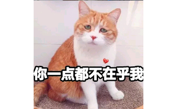 你一点都不在乎我（猫咪）