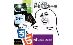 有了这些（C 语音、C++、CSS3、HTML5、VS），还要女朋友干嘛 - 程序员表情包系列