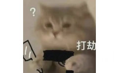 打劫 - 一些猫猫表情包