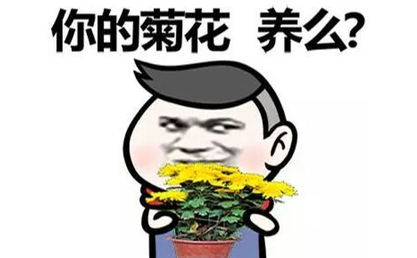 你的菊花，养么？ - 万水千山总是情，一宿两百行不行