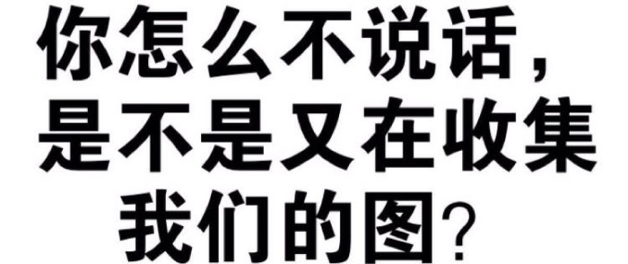 你怎么不说话,是不是又在收集我们的图? - 一组纯文字斗图表情包