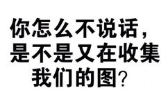 你怎么不说话,是不是又在收集我们的图? - 一组纯文字斗图表情包