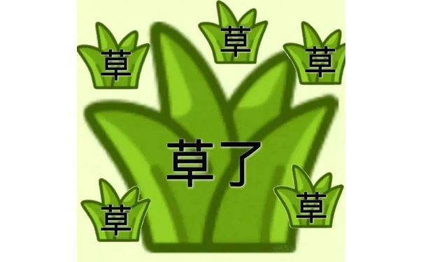 草草草草了草草