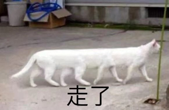 走了(猫咪表情包)