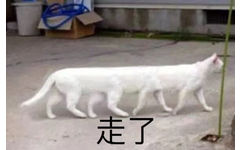 走了(猫咪表情包)