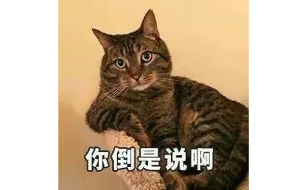 你倒是说啊 - 送你一波猫咪表情包