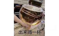 出来喝一杯