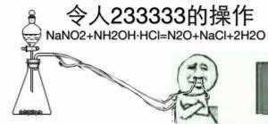 员令人233333的操作E Nano2+nh20h-hcl-n20+Nacl+2H20 - 令人XX的操作，化学专业必备