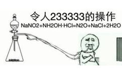 员令人233333的操作E Nano2+nh20h-hcl-n20+Nacl+2H20 - 令人XX的操作，化学专业必备