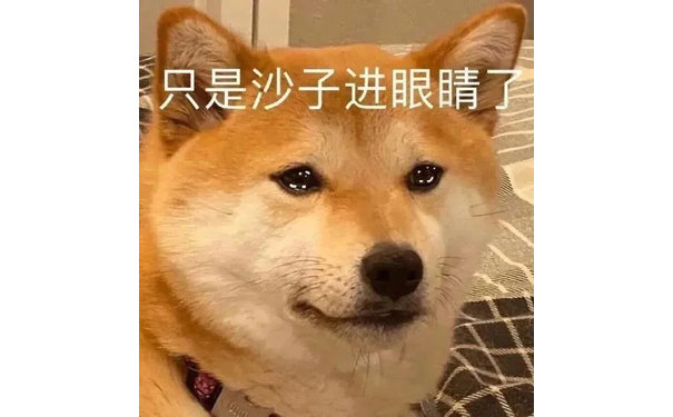 只是沙子进眼睛了