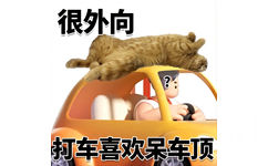 很外向2打车喜欢呆车顶 - 很内向很外向猫猫表情包