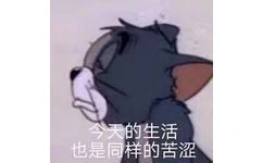 今天的生活也是同样的苦涩(汤姆猫表情包)