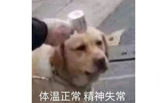 体温正常精神失常