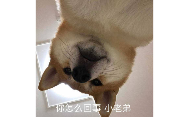 怎么回事小老弟(doge)