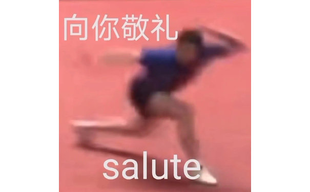 向你敬礼salute