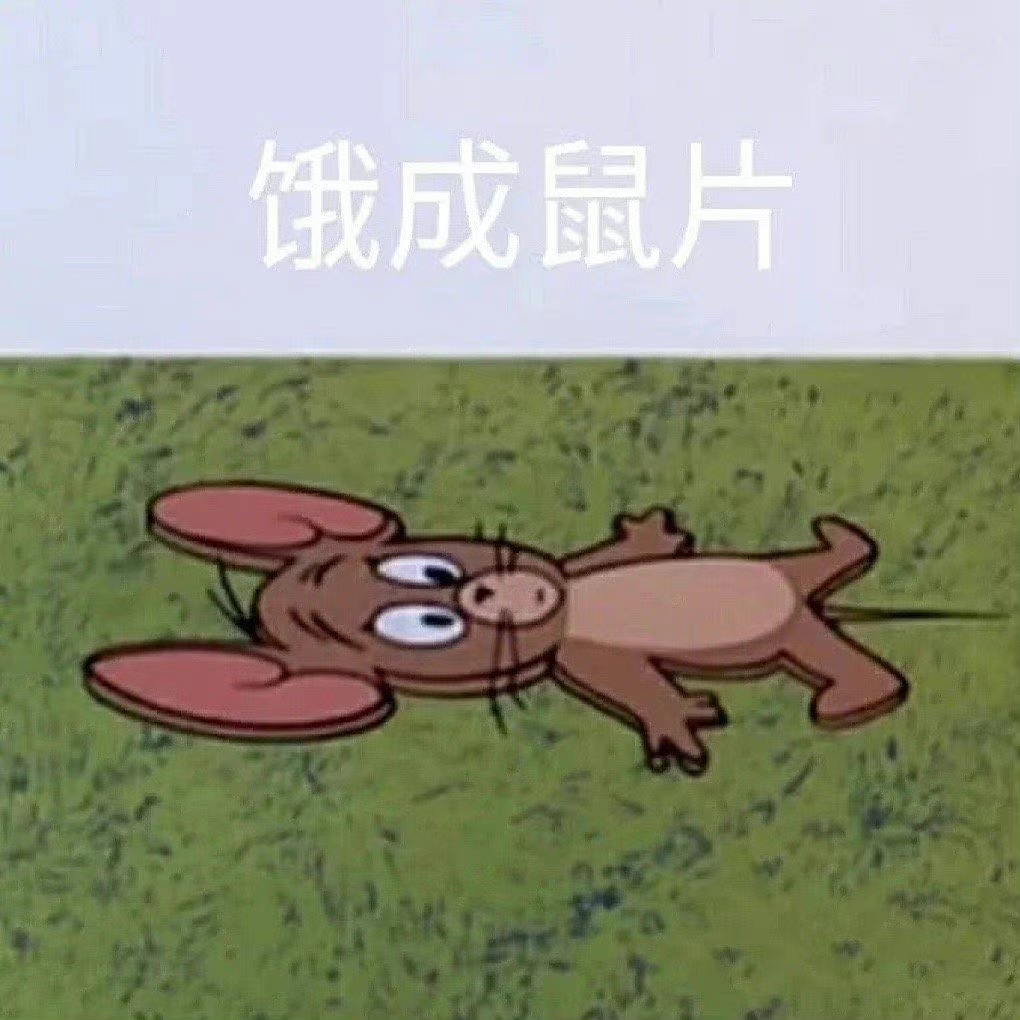 饿成鼠片