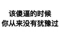 该傻逼的时候你从来没有犹豫过(纯文字斗图表情包)