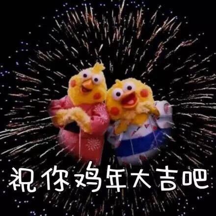 鹦鹉兄弟版祝你们鸡年大吉吧 - 鹦鹉兄弟版的祝福祝你们鸡年大吉吧