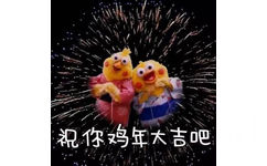 鹦鹉兄弟版祝你们鸡年大吉吧 - 鹦鹉兄弟版的祝福祝你们鸡年大吉吧