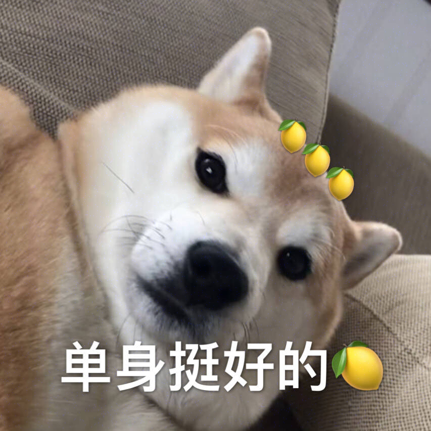 单身挺好的 酸了 - 单身狗 doge 表情包系列