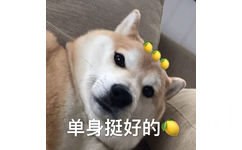 单身挺好的 酸了 - 单身狗 doge 表情包系列