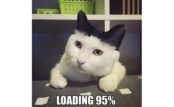 loading95% （猫咪）