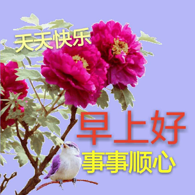 快乐早上好事事顺心(中老年表情包)