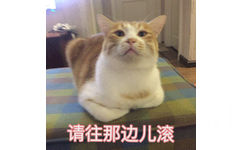 请往那边儿滚(猫咪动态表情包)