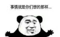 事情就是你们想象的那样