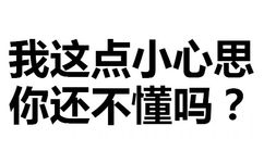 我这点小心思你还不懂吗？ - 污鸡白凤丸（纯文字表情包）