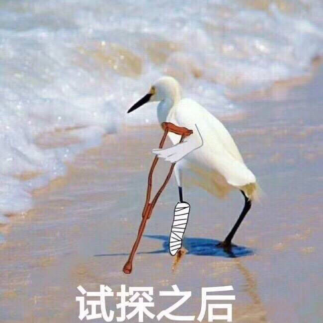 试探之后 - 海鸥沙滩试探系列合集