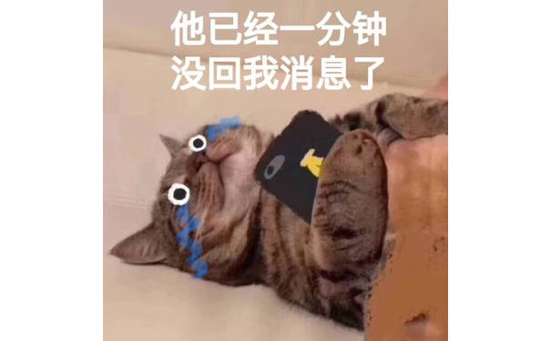 他已经一分钟没回我消息了（猫咪流泪）