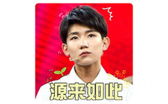 原来如此 - tfboys 表情包系列