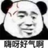 嗨呀好气啊(熊猫头表情包)