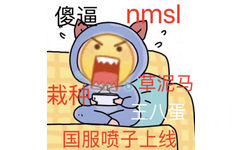 国服喷子上线 傻逼 nmsl